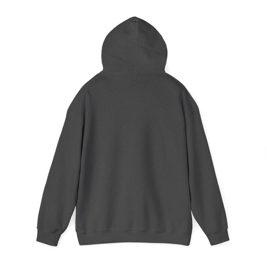 Innovation Athletics Adult Hoodie