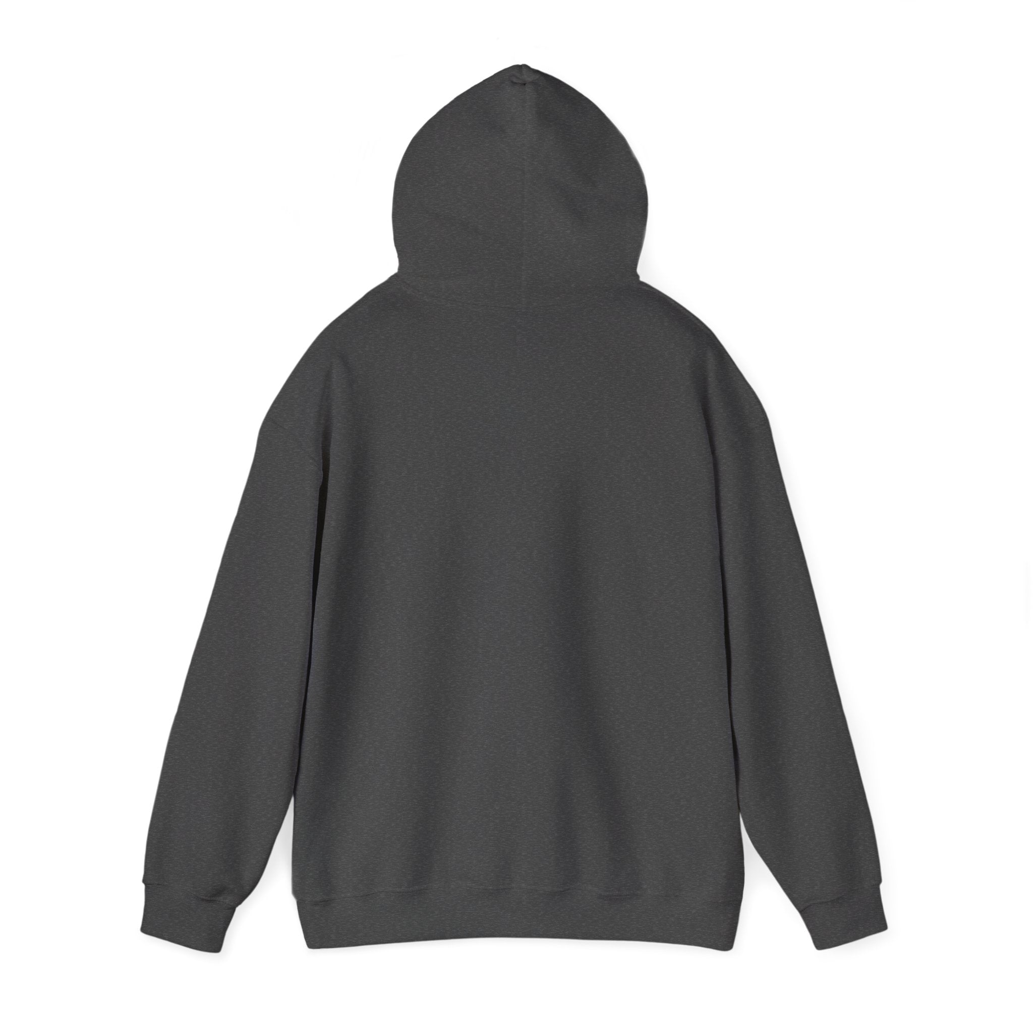 Innovation Athletics Adult Hoodie
