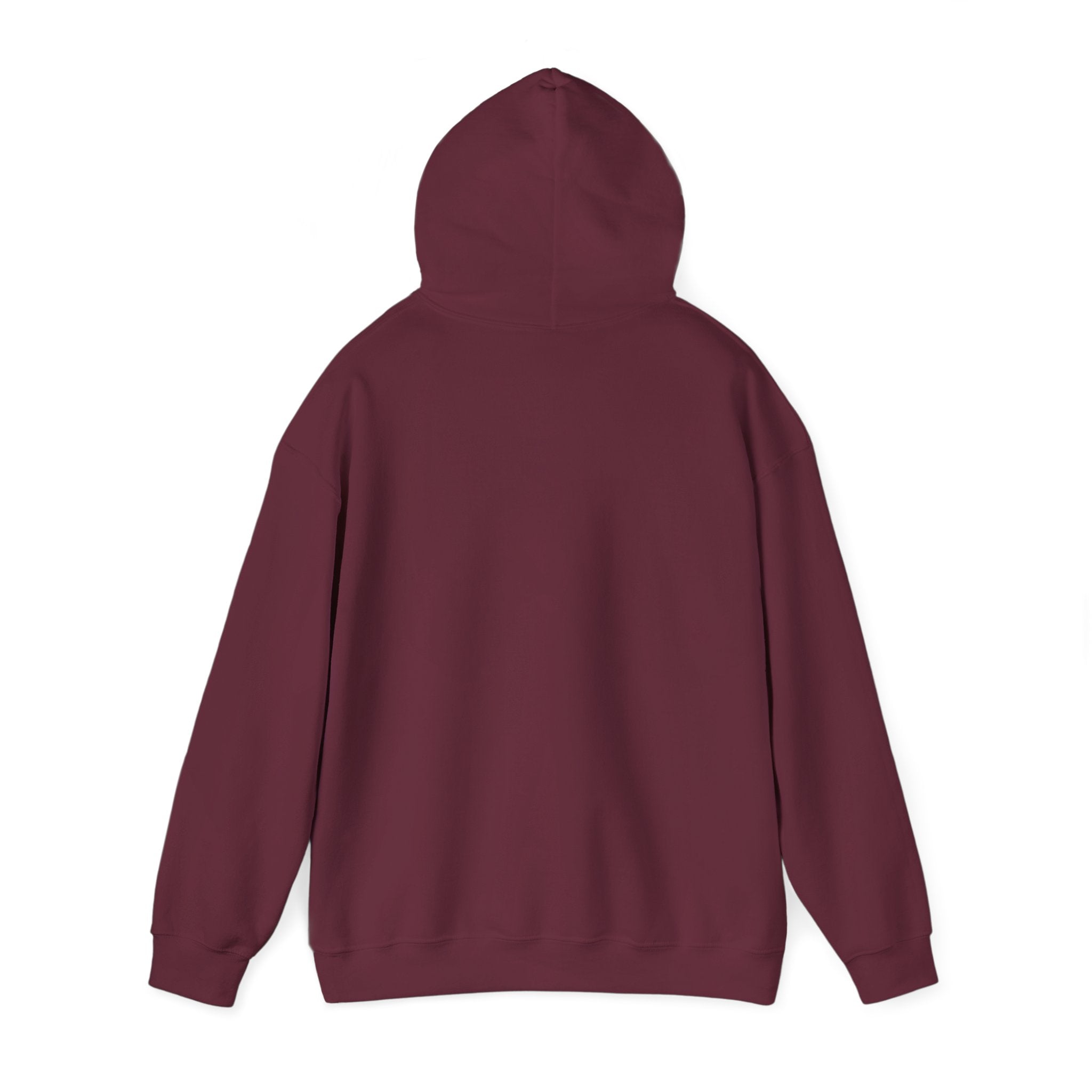 Innovation Athletics Adult Hoodie