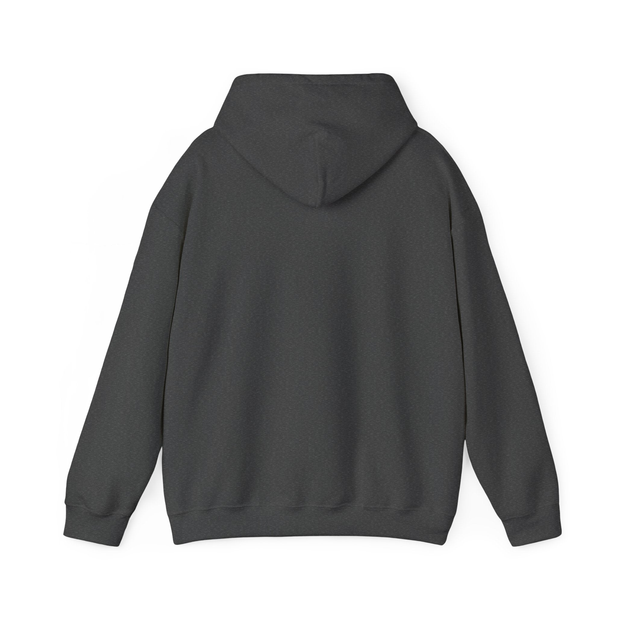 Innovation Athletics Adult Hoodie