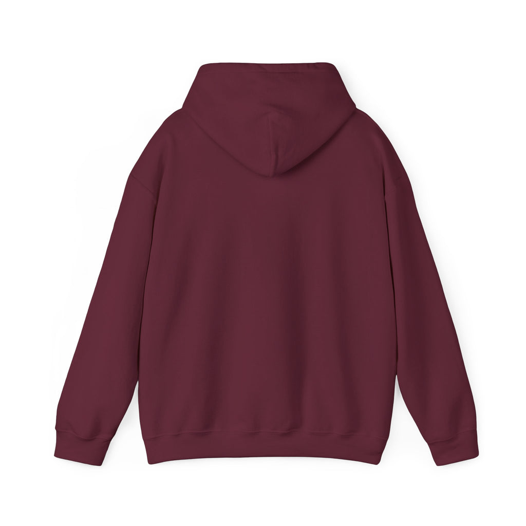 Innovation Athletics Adult Hoodie